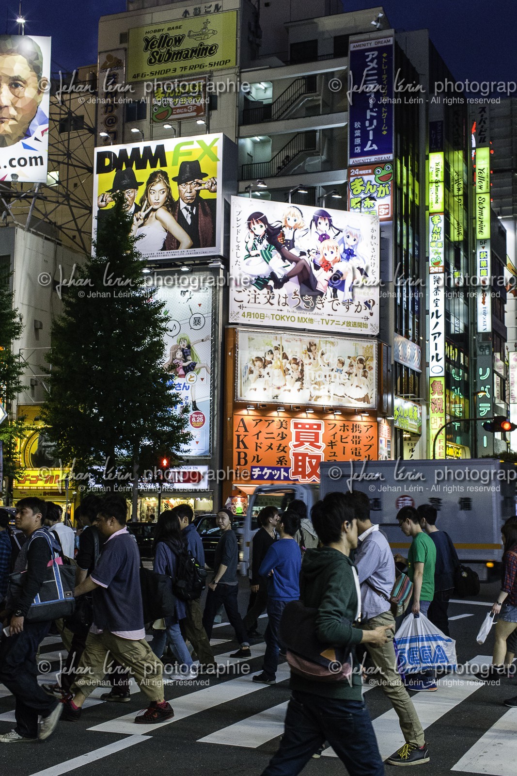 akihabara_tokyo_japon_jl_1dx_03-05-2014-6073.jpg