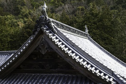 kumadaniji_temple-8_shikoku_japon_06-03_2014-1866.jpg