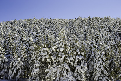 audibergue_22-02-2015-7765.jpg