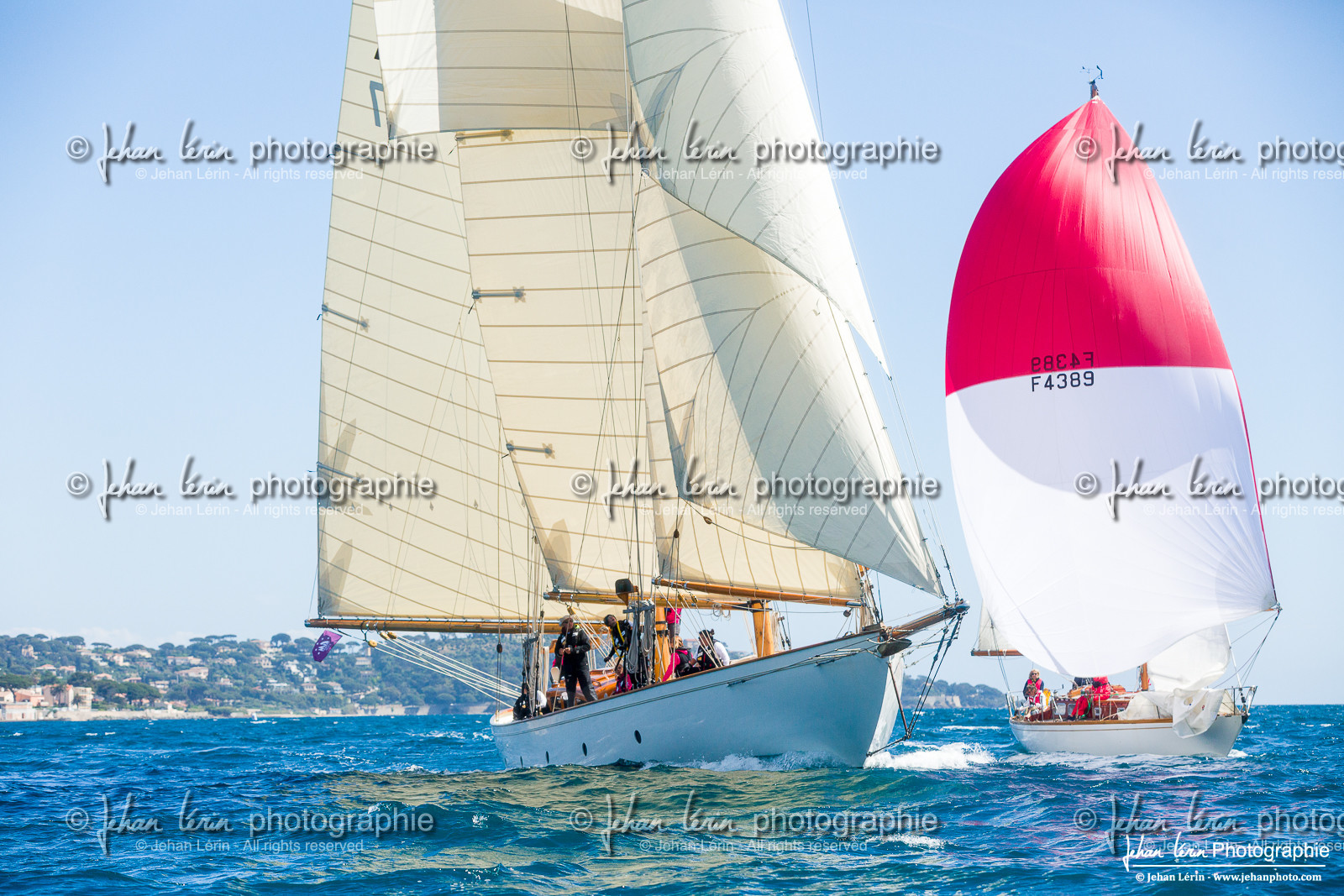 Les Dames de St Tropez