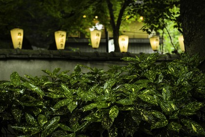 ueno_tokyo_japon_jl_1dx_05-05-2014-6256.jpg