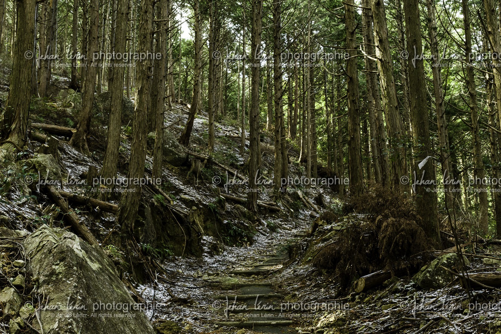 en-route-vers_kakurinji_temple-20_shikoku_japon_10-03_2014-2257.jpg