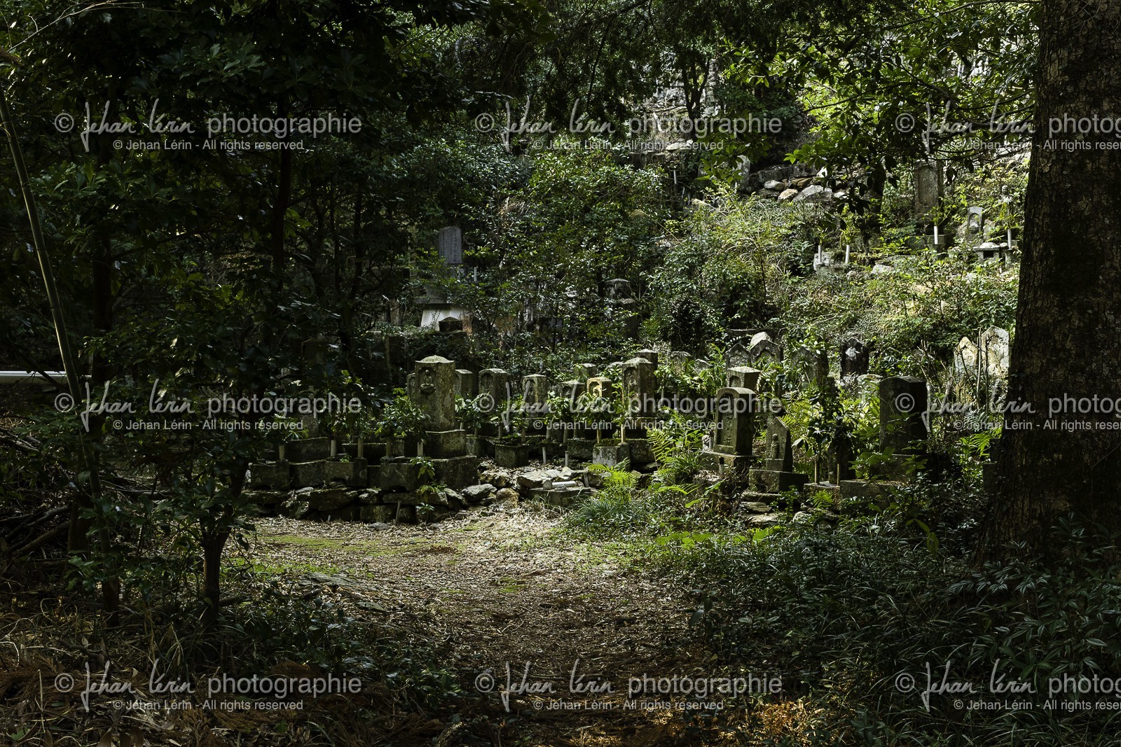 onzanji_temple-18_shikoku_japon_09-03_2014-2171.jpg