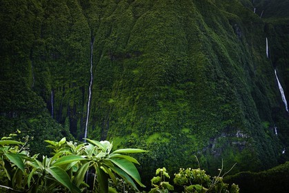 ile-de-la-reunion_aout-2009-4425.jpg