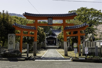 tennoji_temple-79_shikoku_japon_08-04_2014-4365.jpg