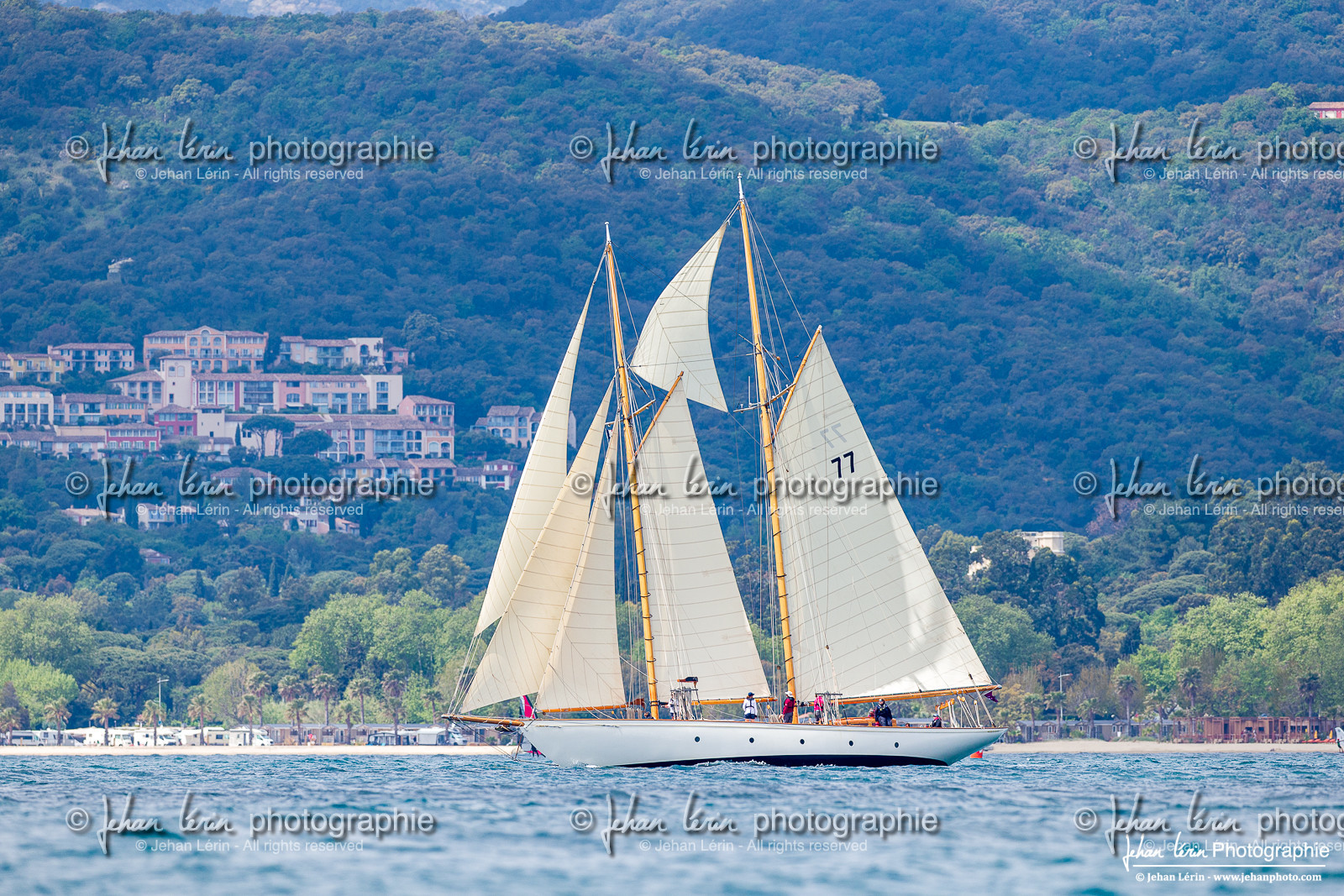Les Dames de St Tropez
