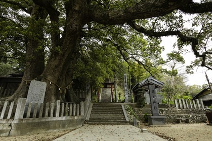 retour-vers_temple-1_shikoku_japon_12-04_2014-1280.jpg