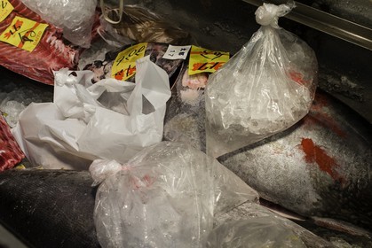 tsukiji-fish-market_tokyo_japon_jl_1dx_08-05-2014-6575.jpg