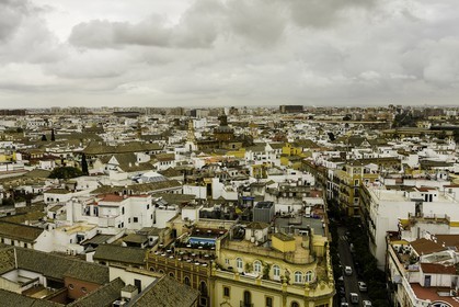 sevilla_19-01-2010-8012.jpg