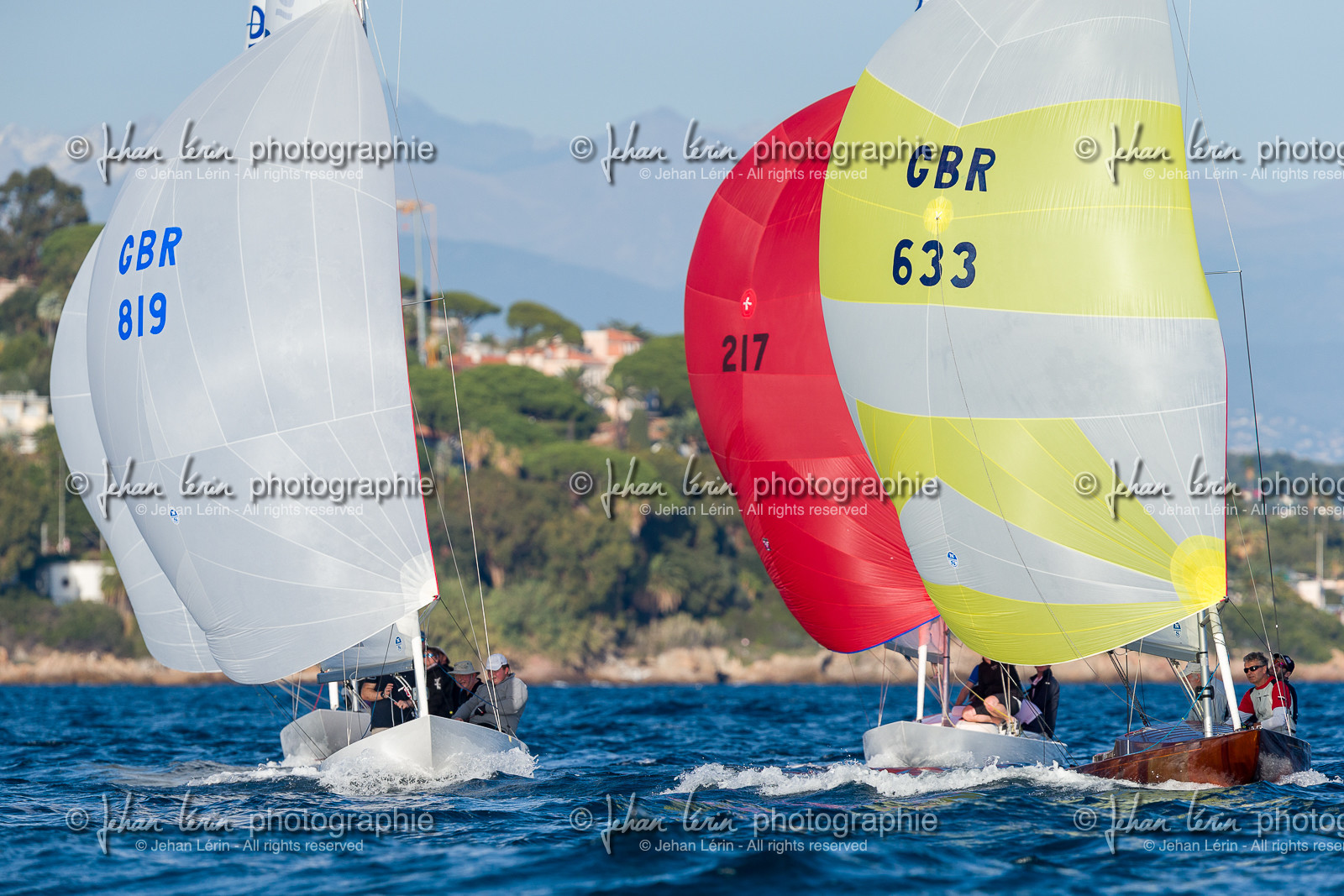 Armistice Cup Dragon 2022