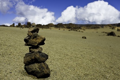 tenerife_avril_2010-1208.jpg