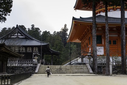 koyasan_japon_jl_1dx_16-04-2014-5161.jpg