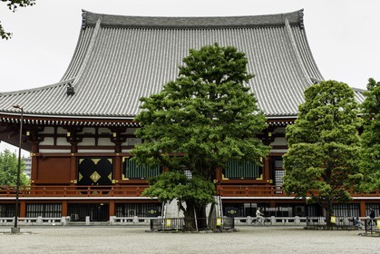 asakusa_tokyo_japon_jl_1dx_05-05-2014-6296.jpg