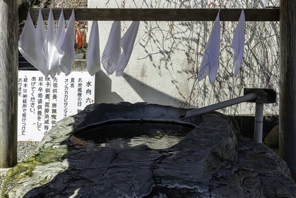 byodoji_temple-22_shikoku_japon_11-03_2014-2389.jpg
