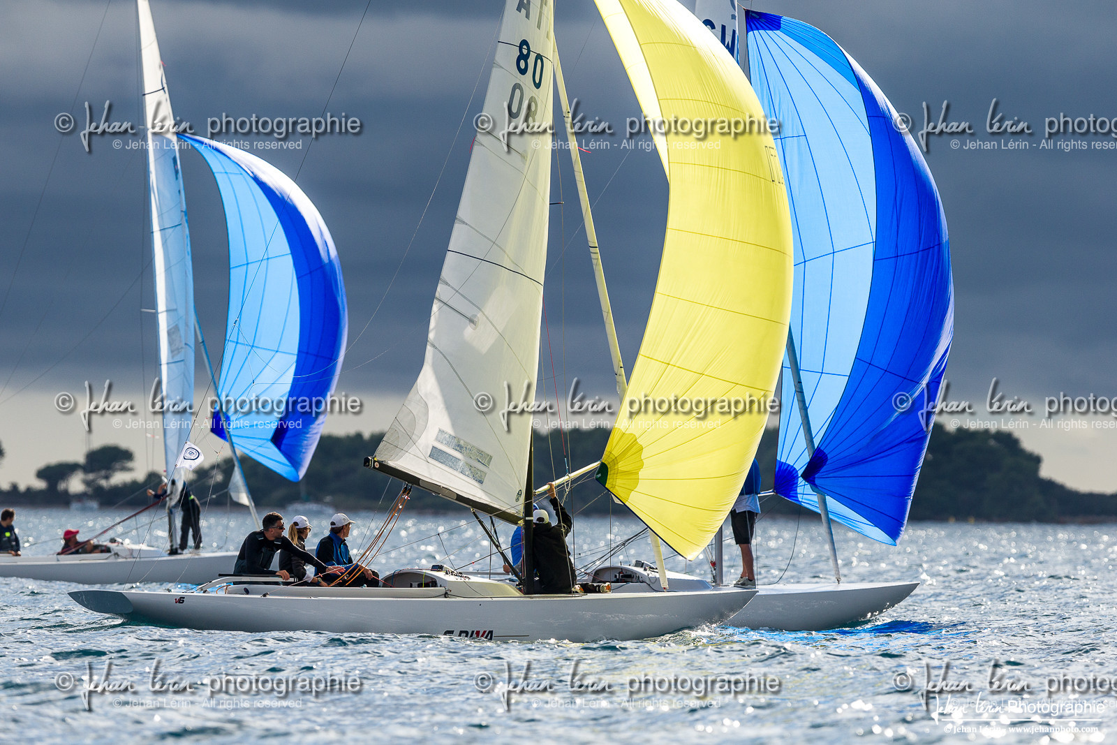 Régates Royales 2024