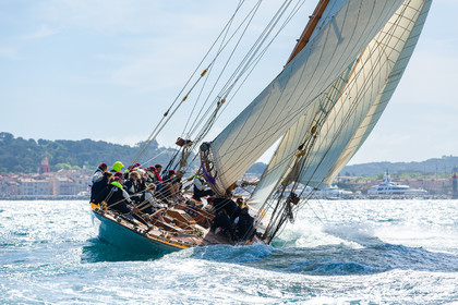 Les Dames de St Tropez