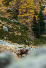 la-gordolasque_jehan-lerin_jl_1dx_11-11-2021-0080.jpg