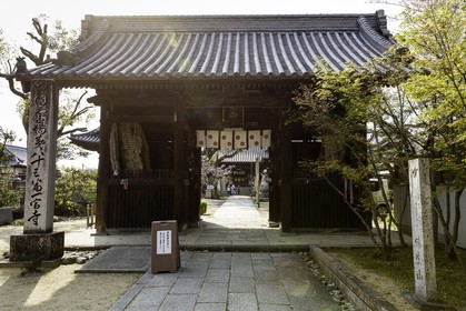 ichinomiyaji_temple-83_shikoku_japon_09-04_2014-1121.jpg