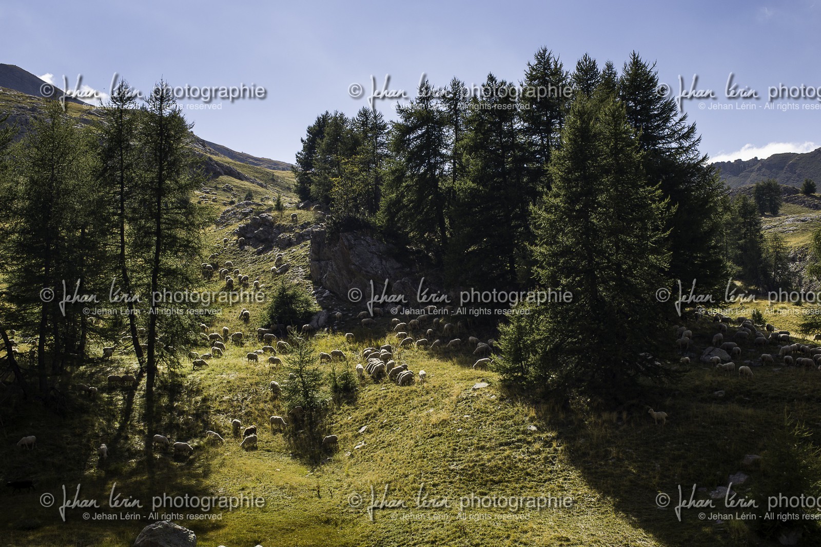 lac-d-allos_alpes-de-haute-provence_29-08-2015-9418.jpg