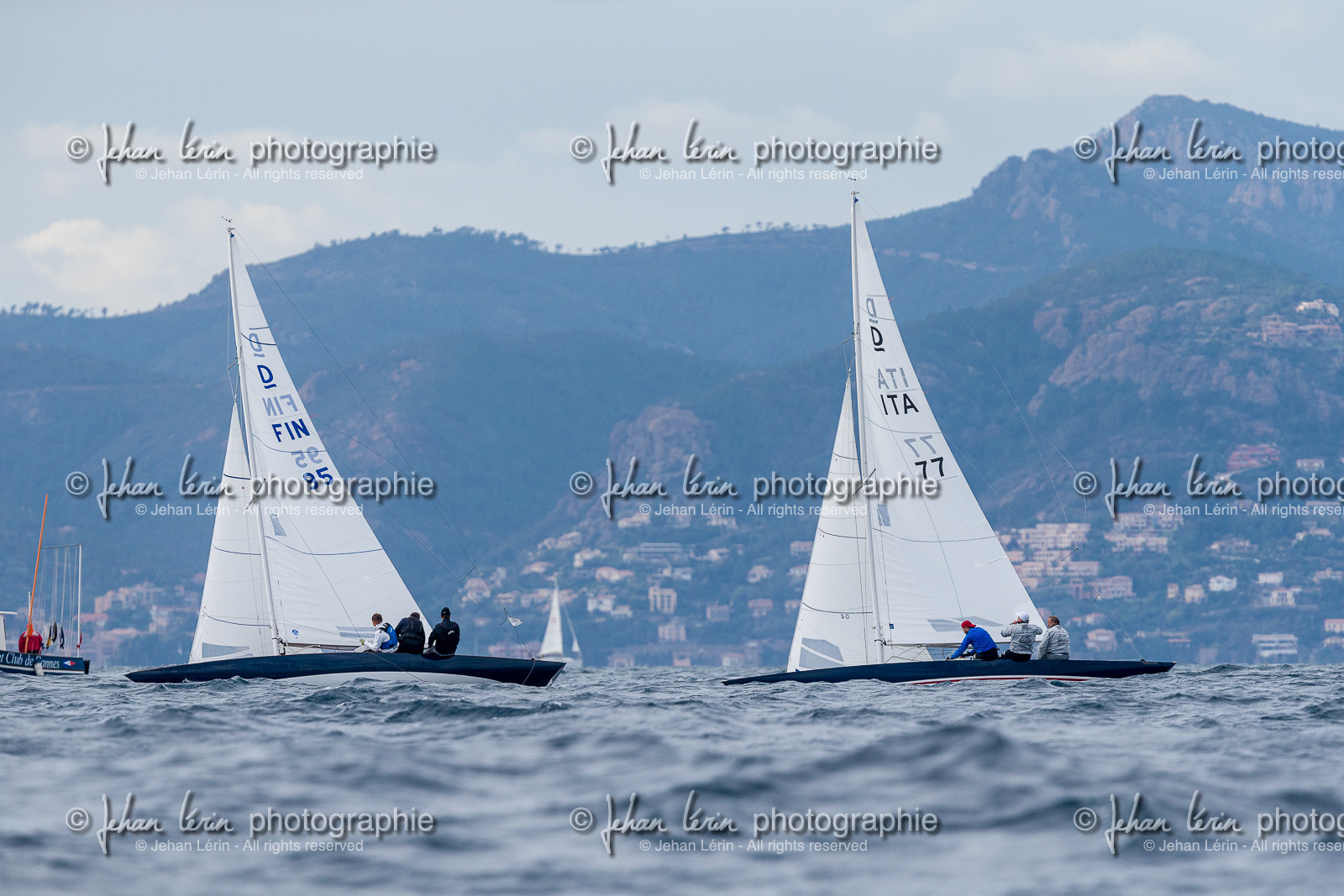 Armistice Cup Dragon 2022