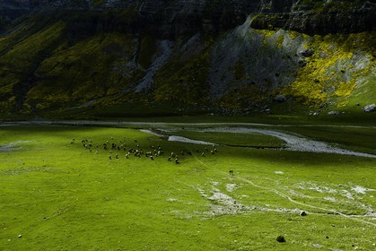 ordesa-valley_aragon2010-9956.jpg