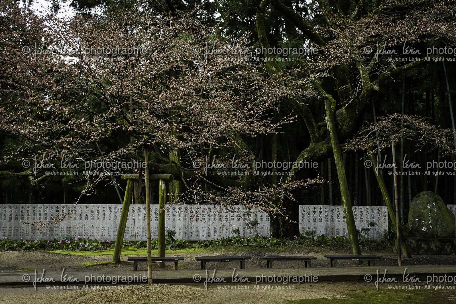 sankakuji_temple-65_shikoku_japon_04-04_2014-3809.jpg