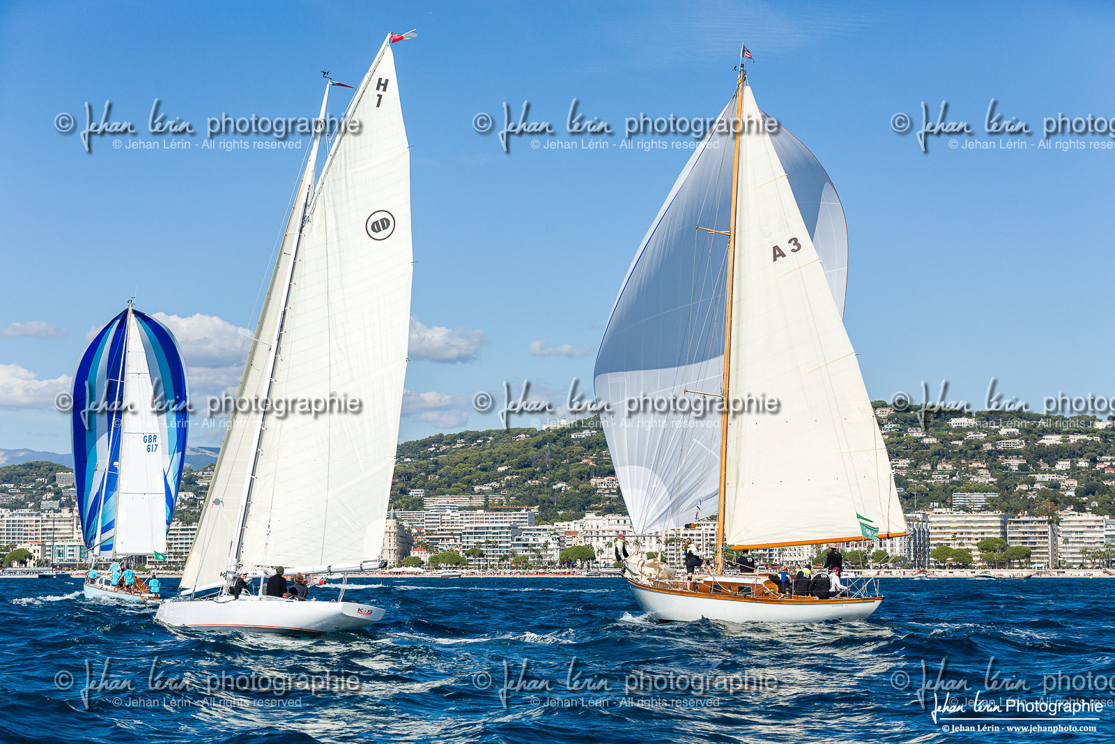 Régates Royales 2025