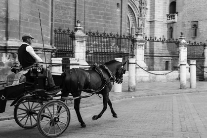 sevilla_25-04-2012-1761.jpg
