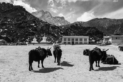 nepal_rolwaling-and-khumbu-area_khumjung_13-02-2013-36557.jpg