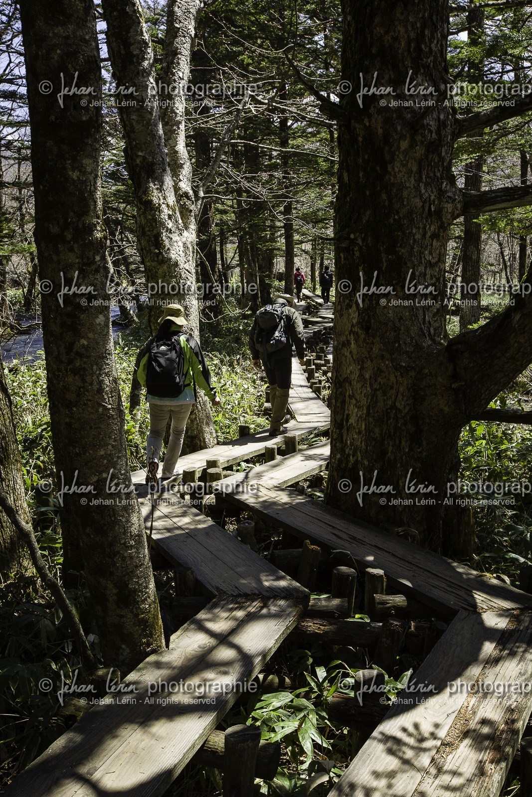 kamikochi_japon_jl_5d3_02-05-2014-1517.jpg