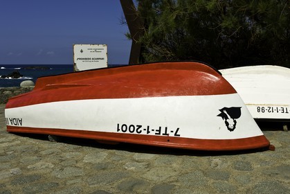 tenerife_avril_2010-0816.jpg