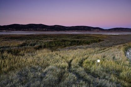 laguna-de-gallocanta_15-10-2009-5909.jpg